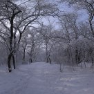 Into the white corridor